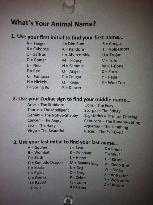 Friday Fun: What's Your Animal Name? - ManMadeDIY Friday Fun: What's Your Animal Name? - ManMadeDIY