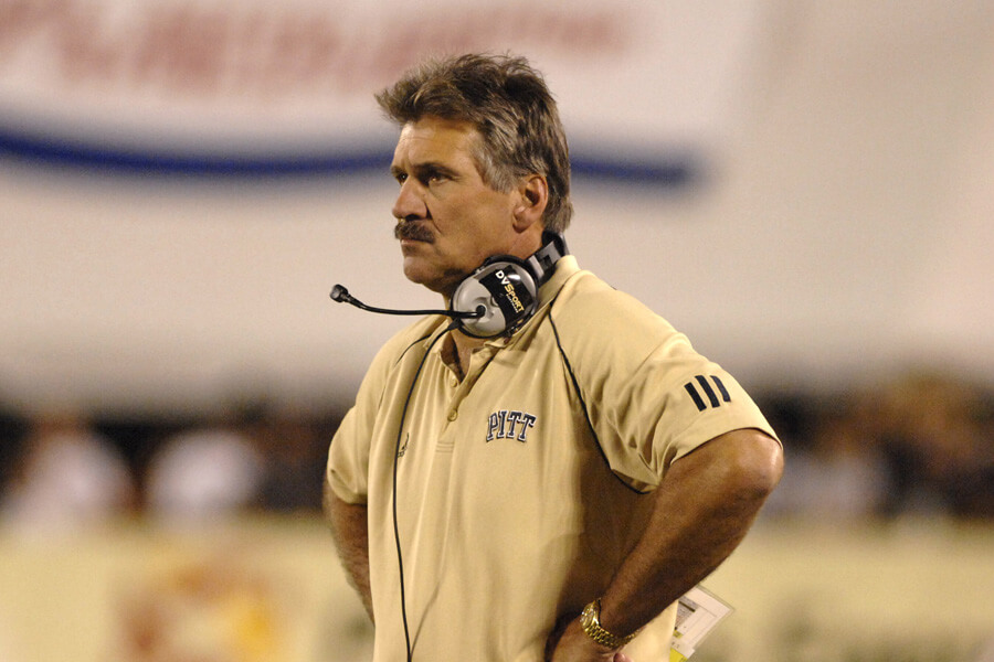 dave wannstedt