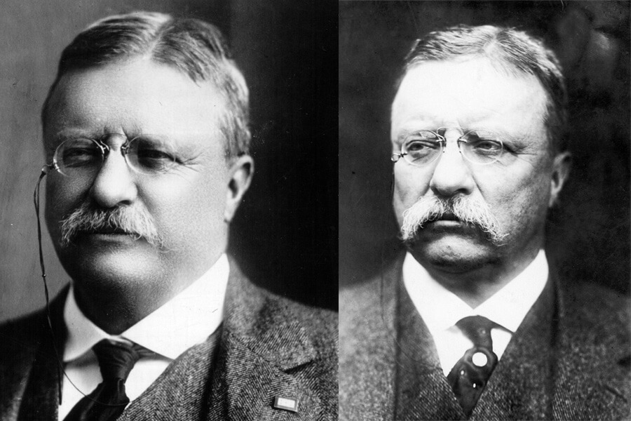 theordore roosevelt before and after