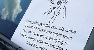 The Most Hilarious Windshield Notes Left On Cars