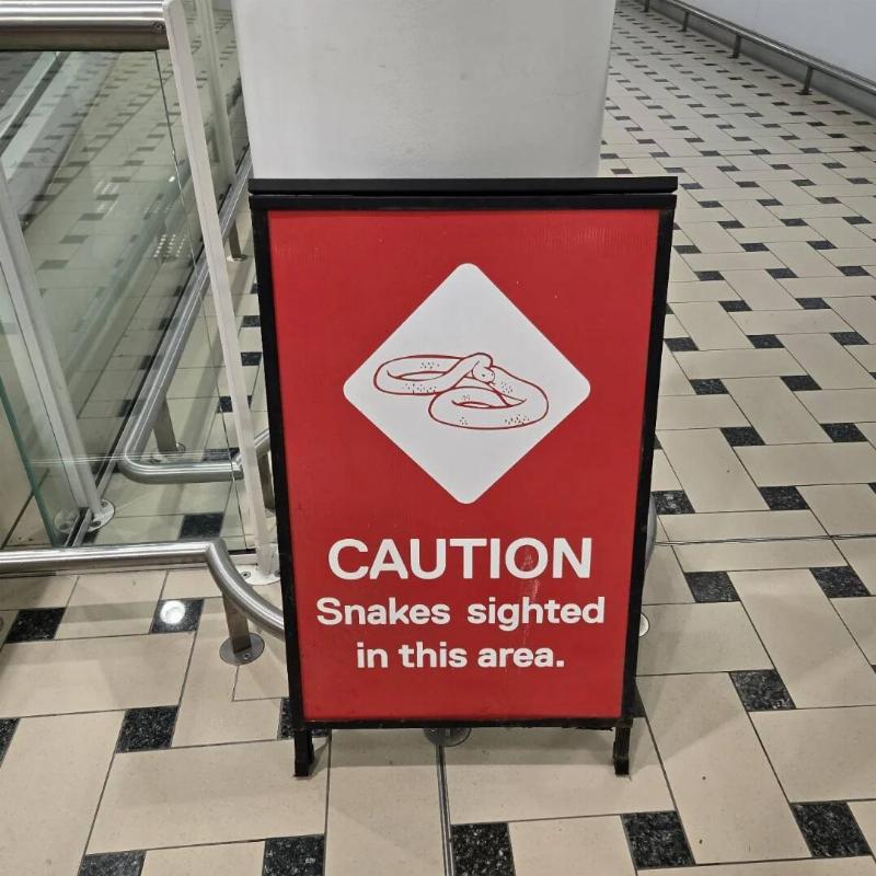 airport-in-australia-has-a-snake-warning-sign-in-the-v0-9ex47upybq1g1