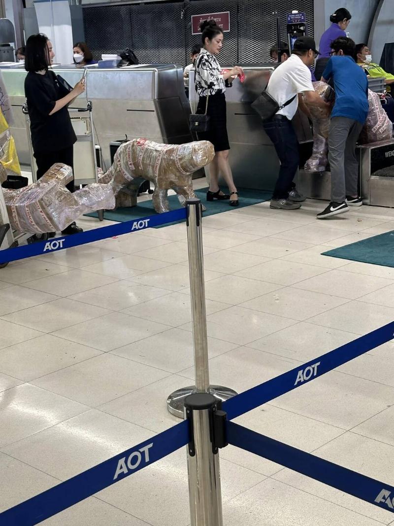 having-problems-at-the-airport-check-in-v0-tl415mz8tnnc1
