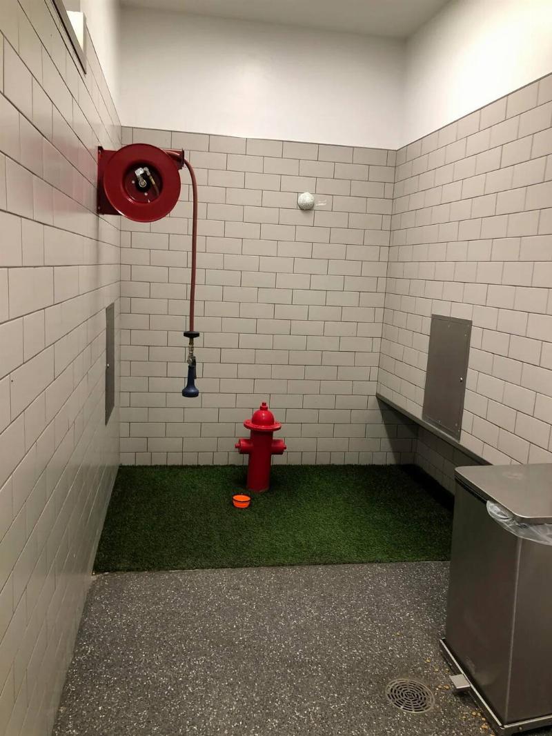 this-airport-has-a-bathroom-for-dogs-v0-9j0fzi4h6xj71