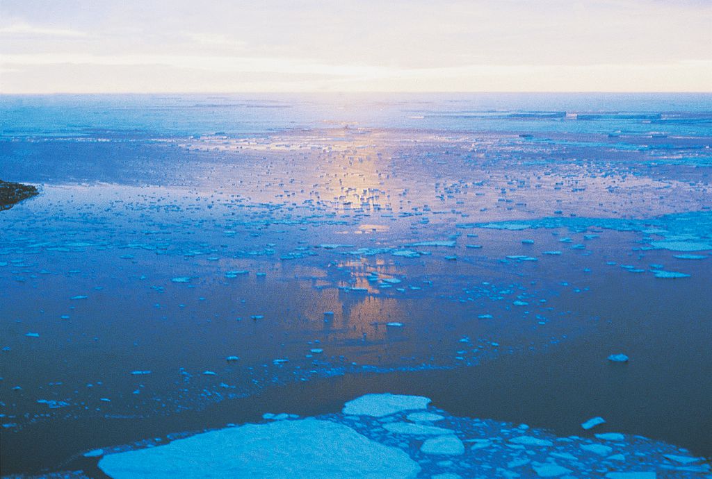 ocean full of glaciers