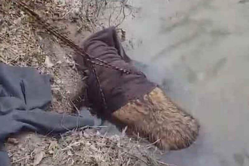 diificult-beaver-84486