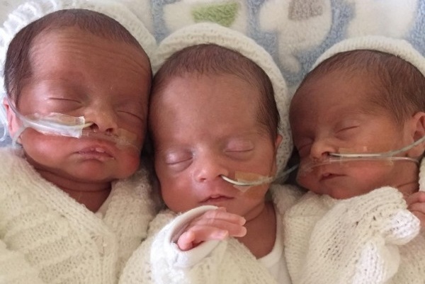 40 Trillizos Idénticos 16 40 Trillizos Idénticos 16