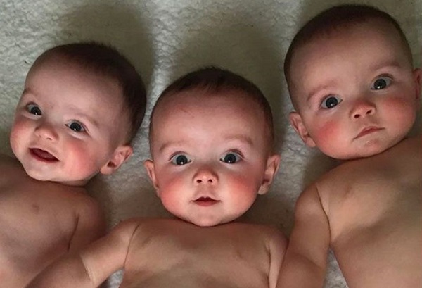 40 Trillizos Idénticos 17 40 Trillizos Idénticos 17