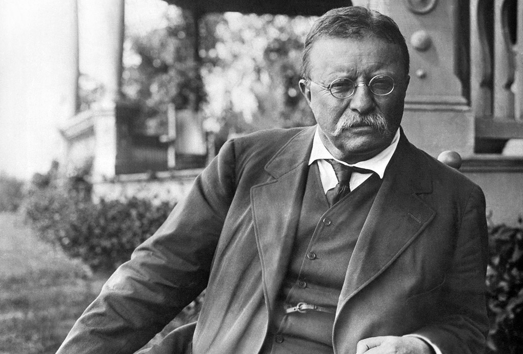 Theodore Roosevelt 