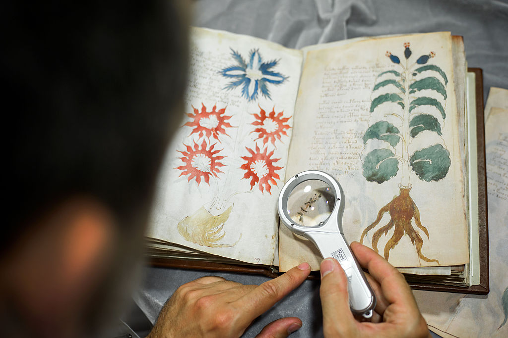 Voynich Manuscript 