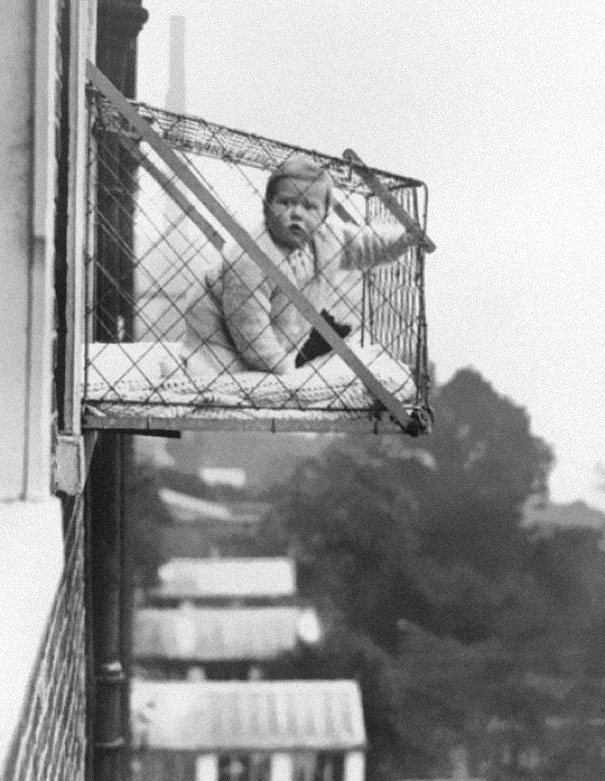 cage-98659.jpg