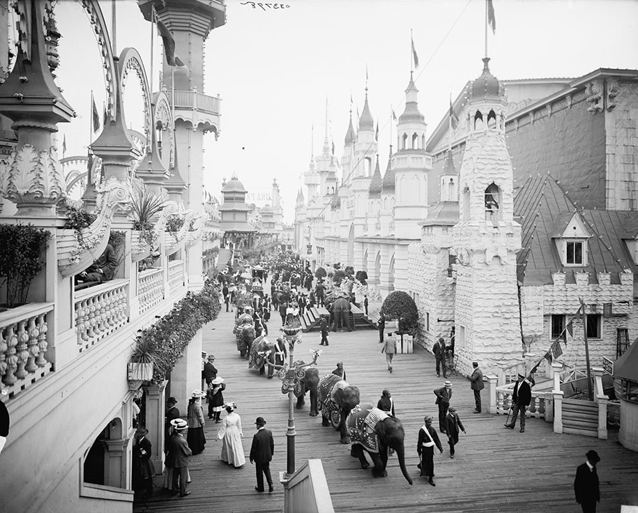 coney-50292.jpg