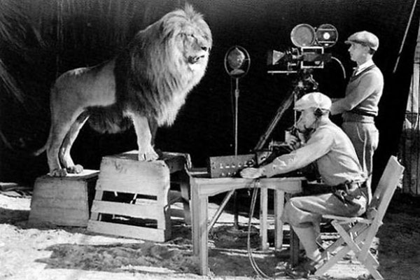 lion-91517.jpg