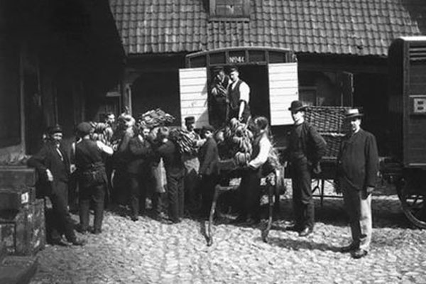 norway-53426.jpg