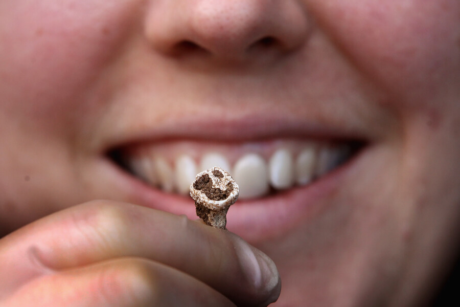 viking-teeth-73374-43901.jpg