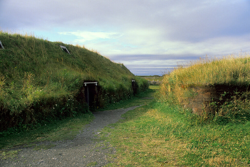 vikingfarming-32950-93567.jpg