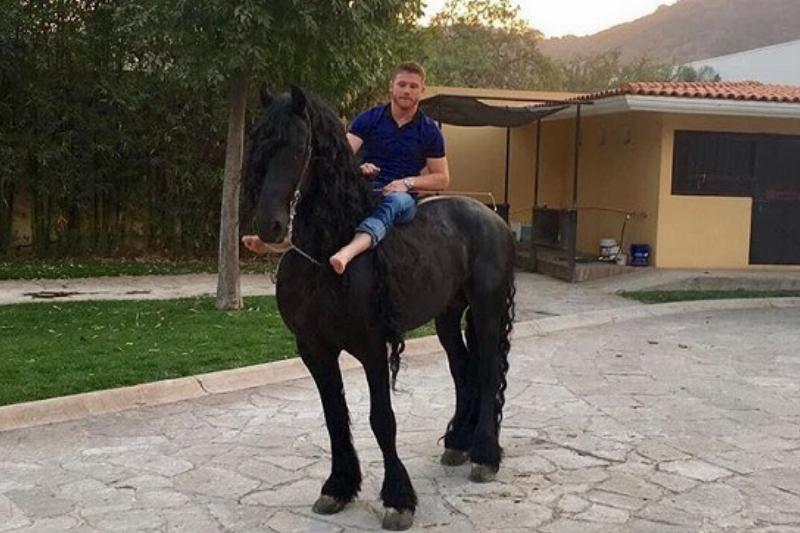 10-Canelo-Lujos-12-78265.jpg 10-Canelo-Lujos-12-78265.jpg