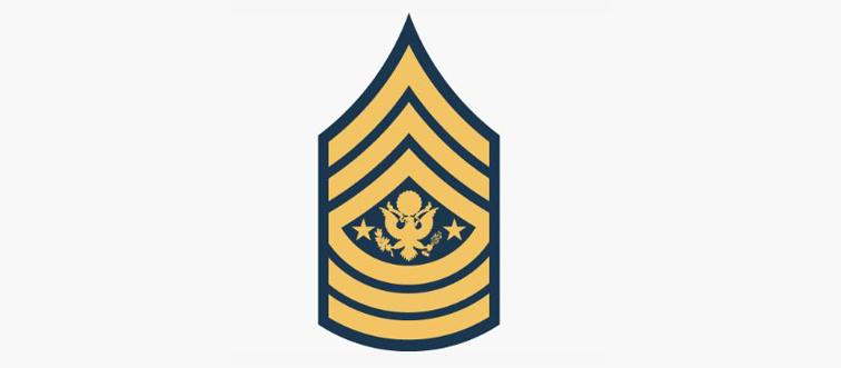 insignia-quiz-41