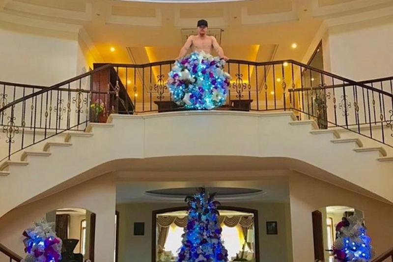 29 Renov Canelo 31 29 Renov Canelo 31