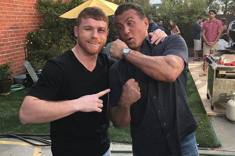 29 Renov Canelo 36 29 Renov Canelo 36