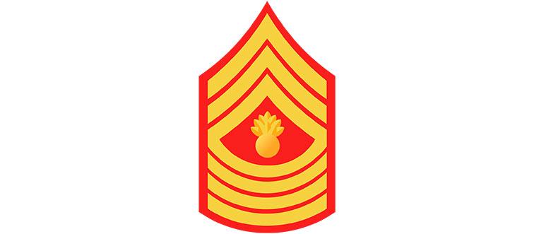 insignia