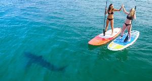 Some Of The Most Frightening Images Captured By Drones