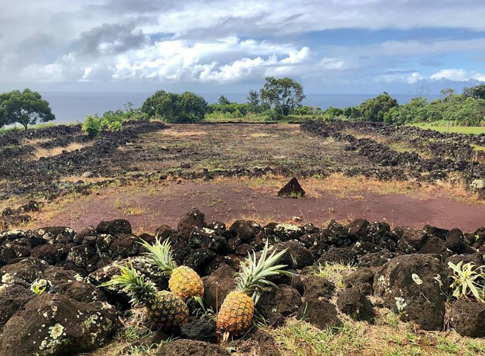 Pu’u o Mahuka Heiau Pu’u o Mahuka Heiau