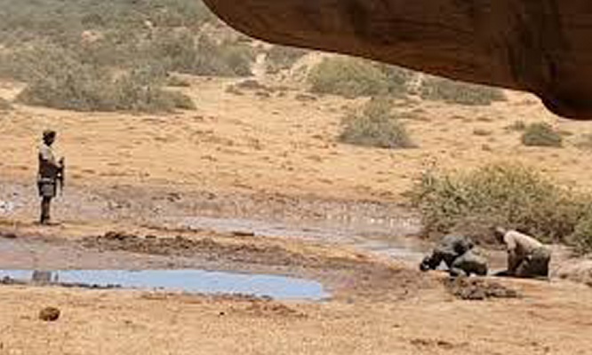 37 Renov Foca Buceo 38