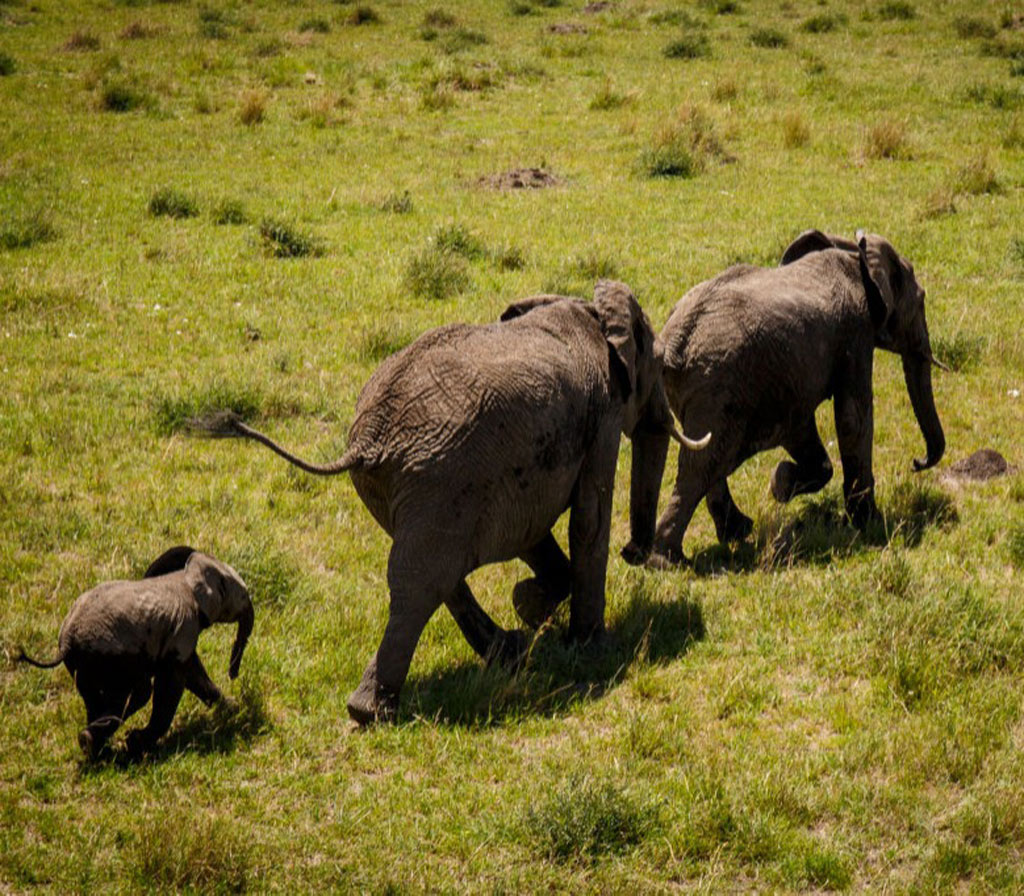 GettyImages-1092859746-47659