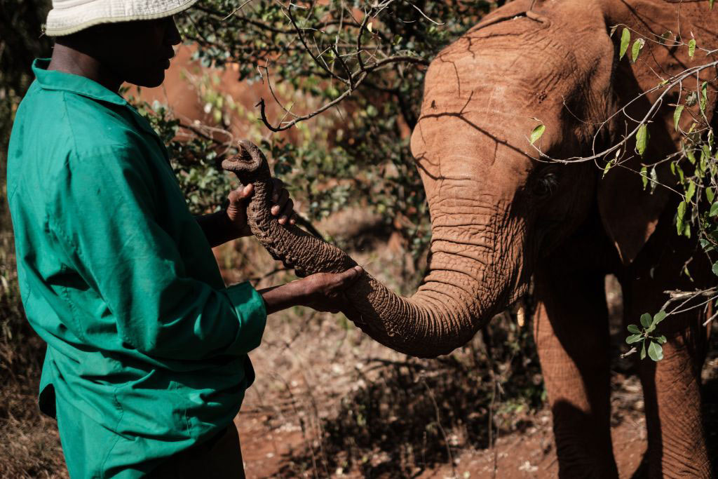 GettyImages-1131633268-10539