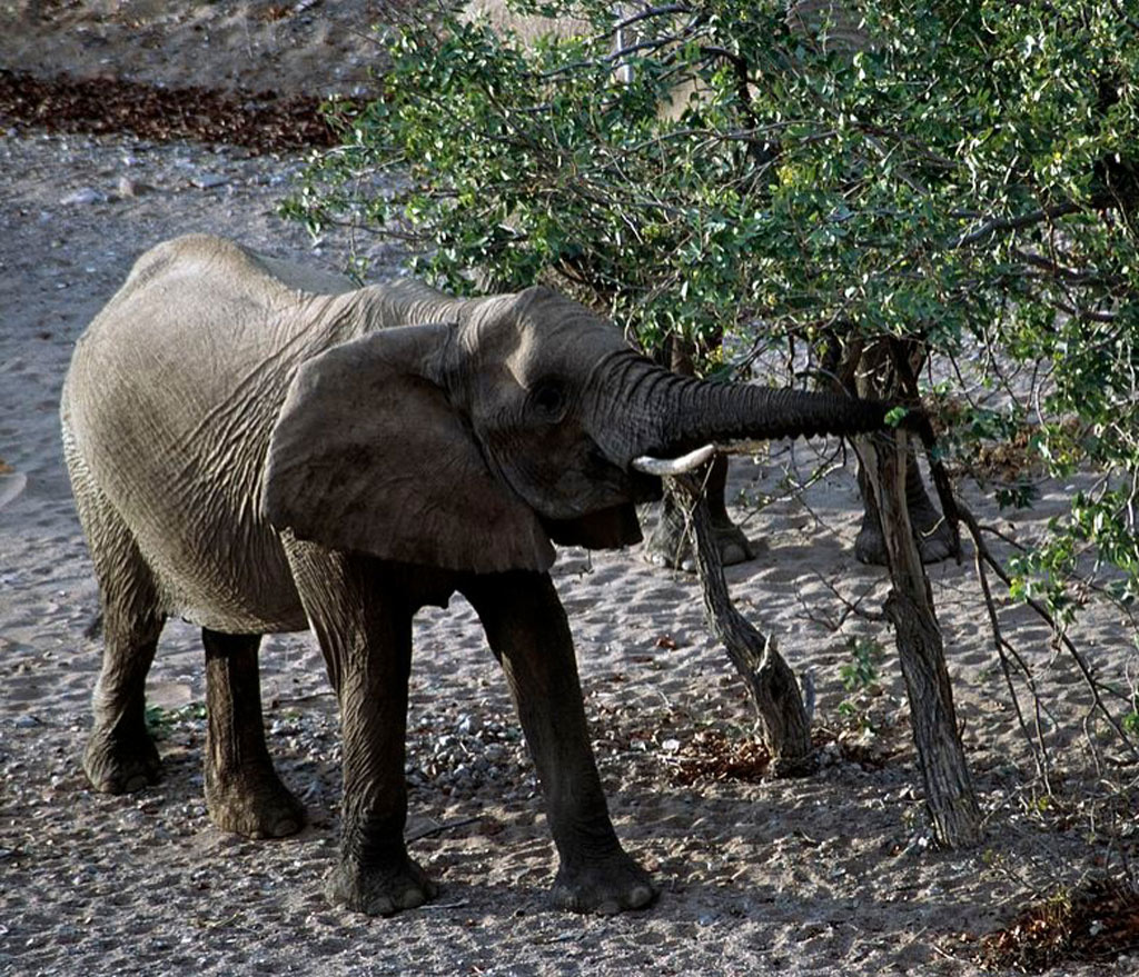 GettyImages-182132650-58549