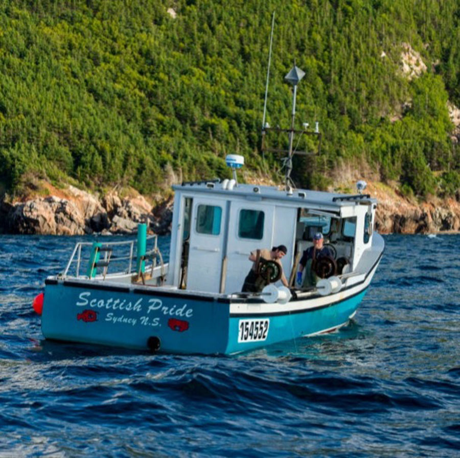 GettyImages-913061156-87796