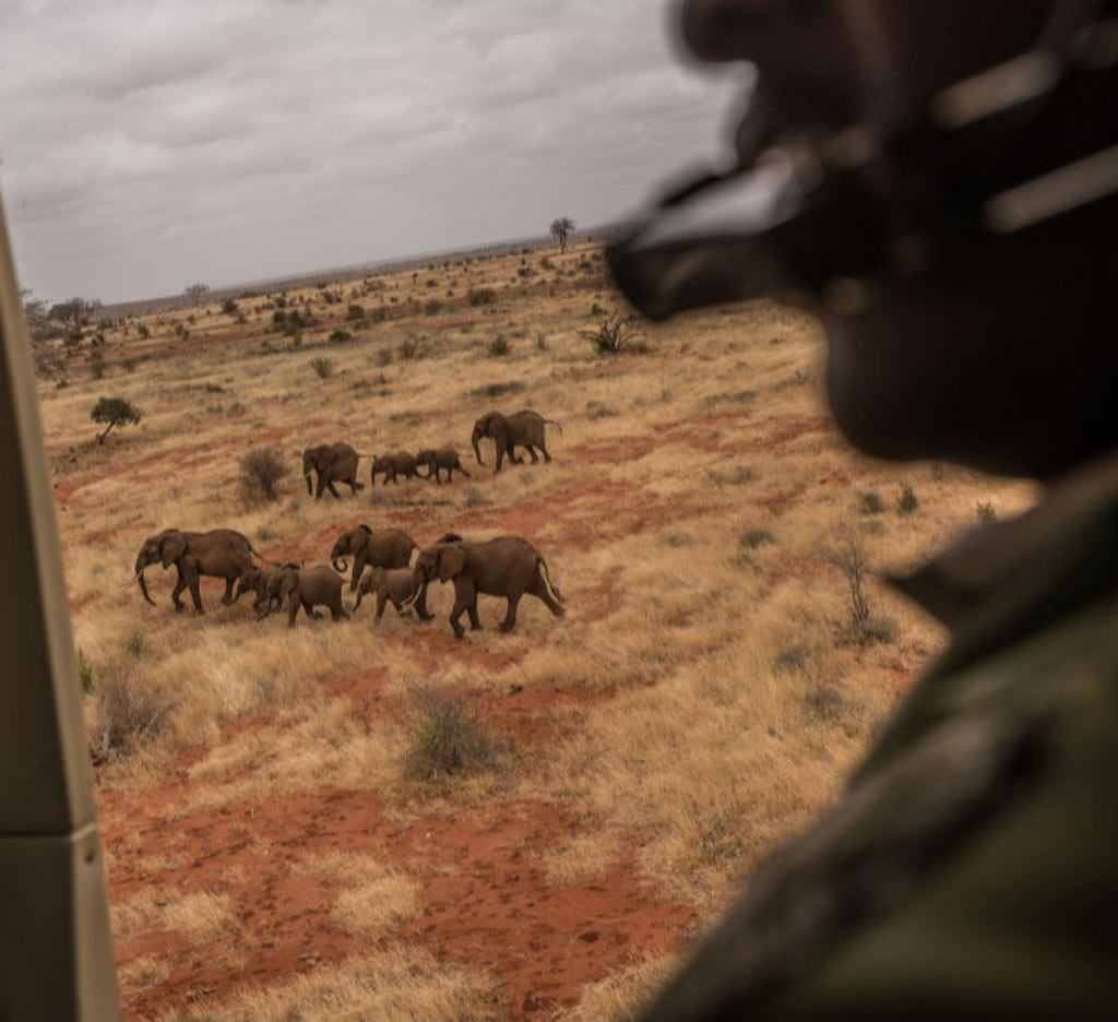 GettyImages-916034860-37834