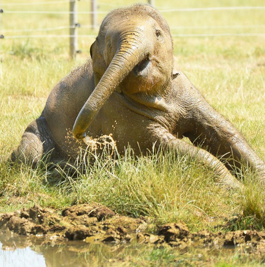 GettyImages-993554642-42742