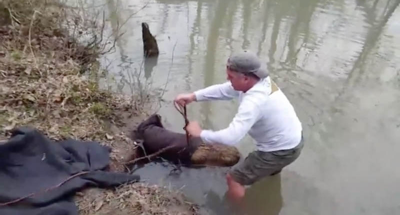 beaver-rescue-6--18407