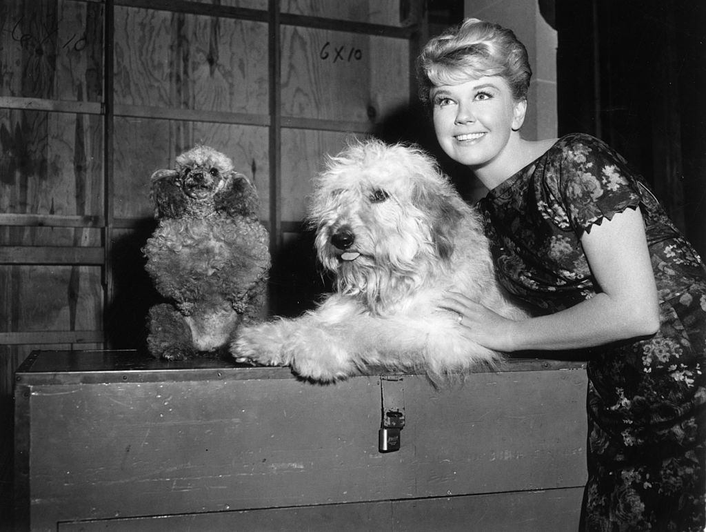 doris-day