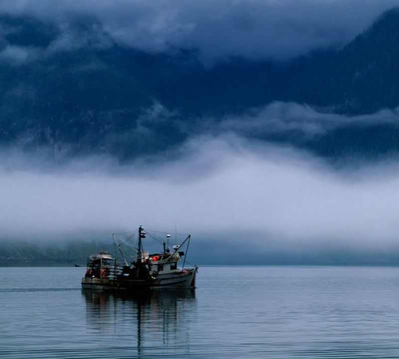 fishing-in-canada-at-night-93732