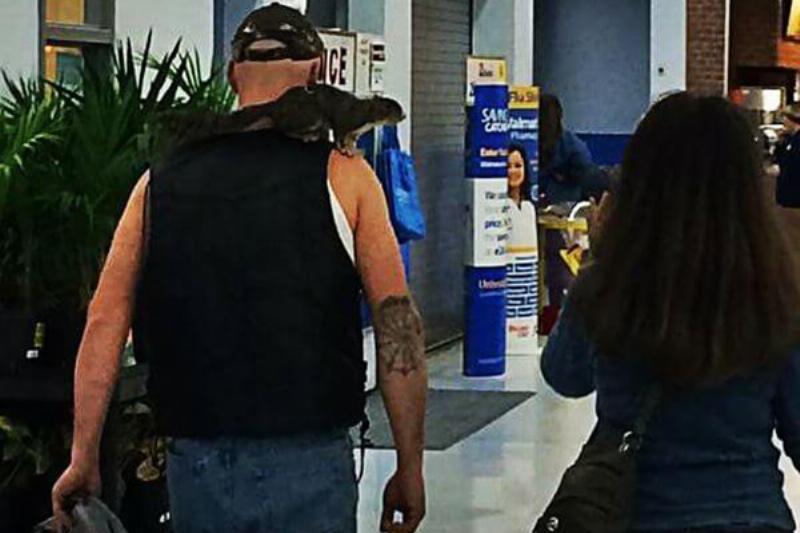 servicesquirrel-67400-76580