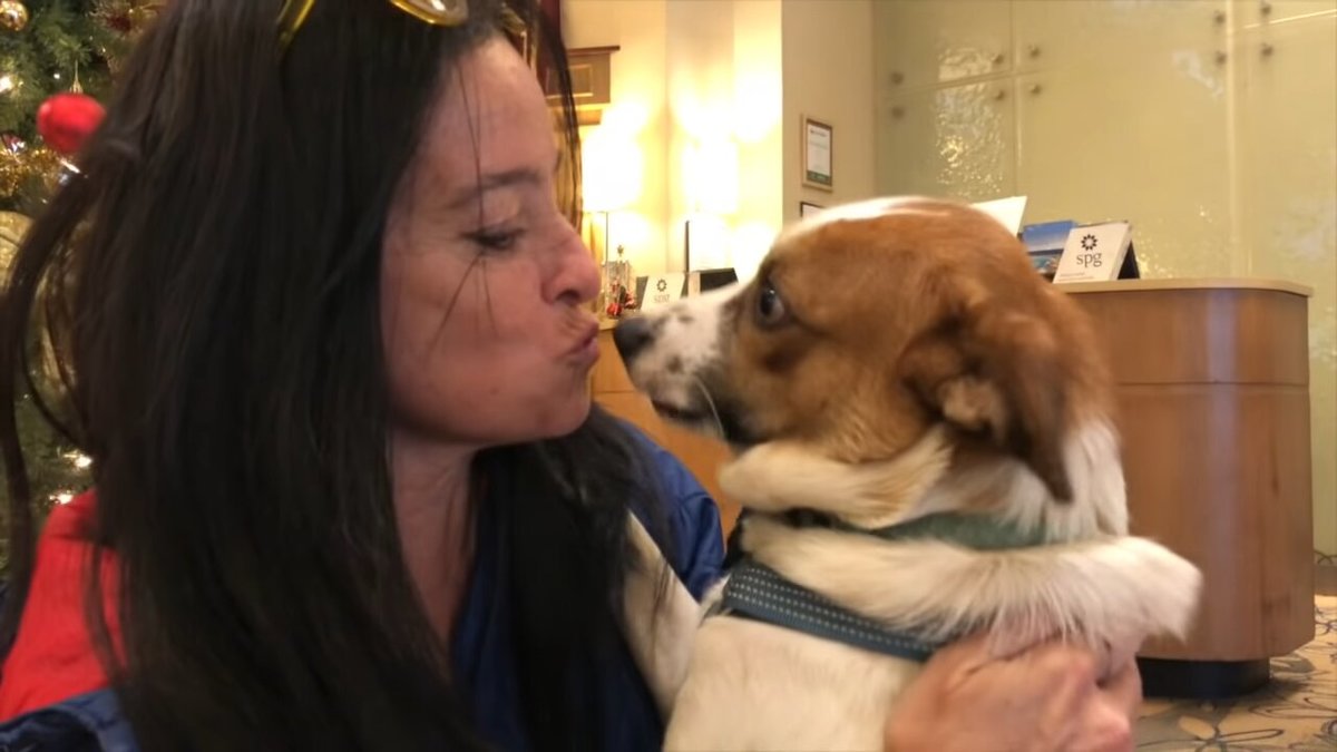 jenny brought snafu to colorado to live with her sister.