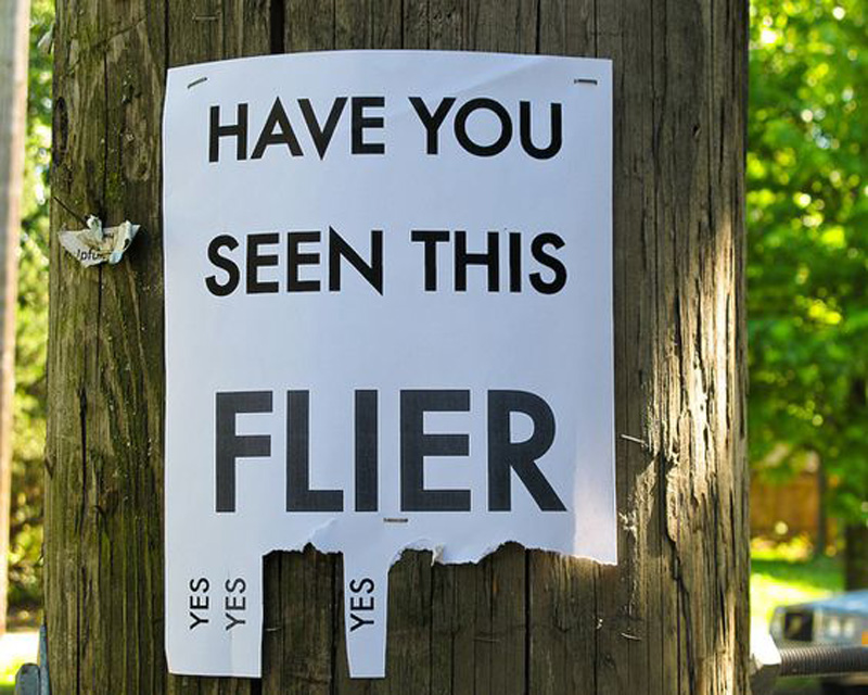 have you seen this flier? have you seen this flier? the only option is yes