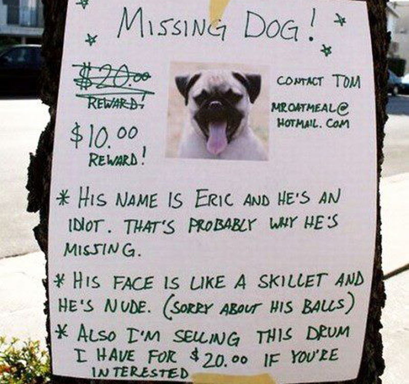missing idiot dog missing idiot dog and a drum for sale