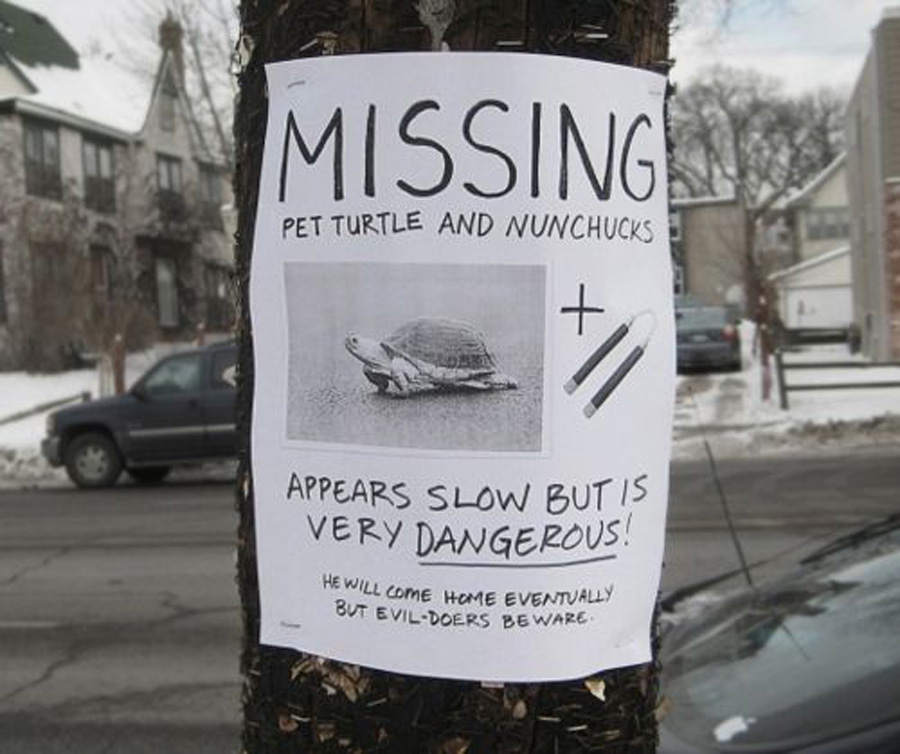 missing NINJA TURTLE ON THE LOOSE missing NINJA TURTLE ON THE LOOSE