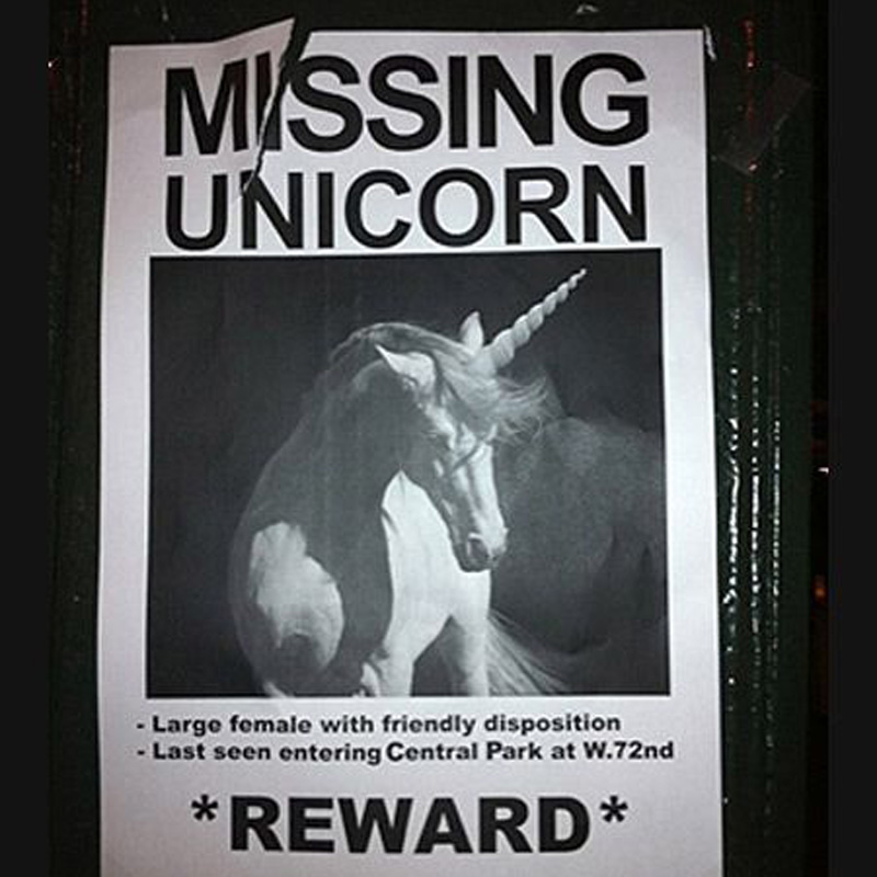 Missing Unicorn Missing Unicorn that somebody really wants to find.