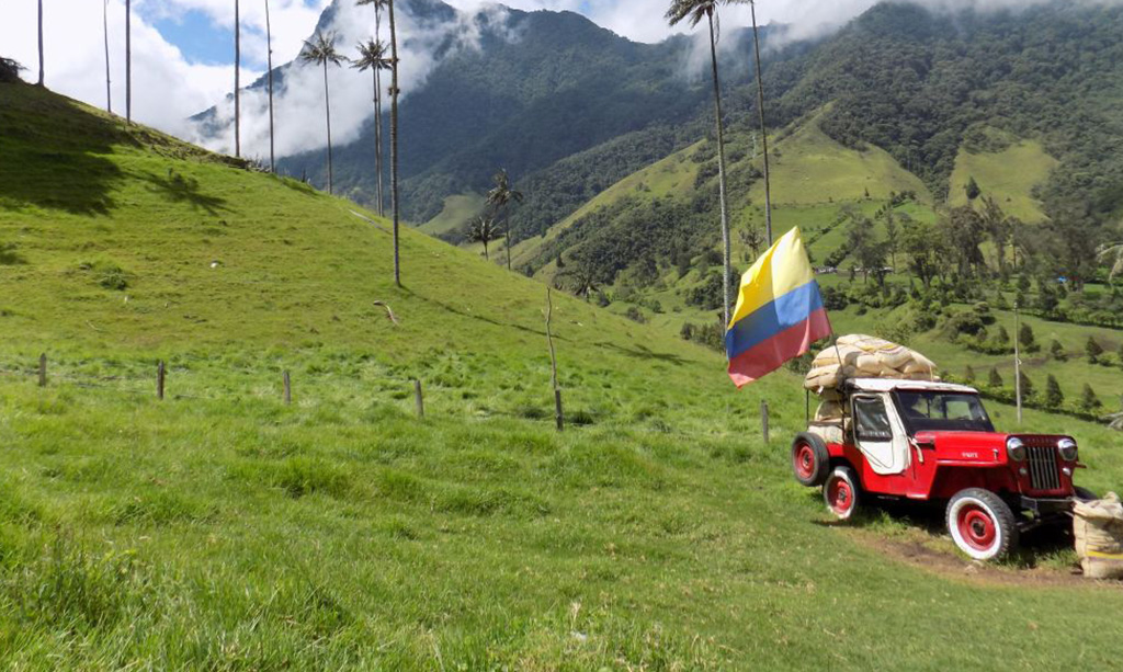 Seen Their Fair Share