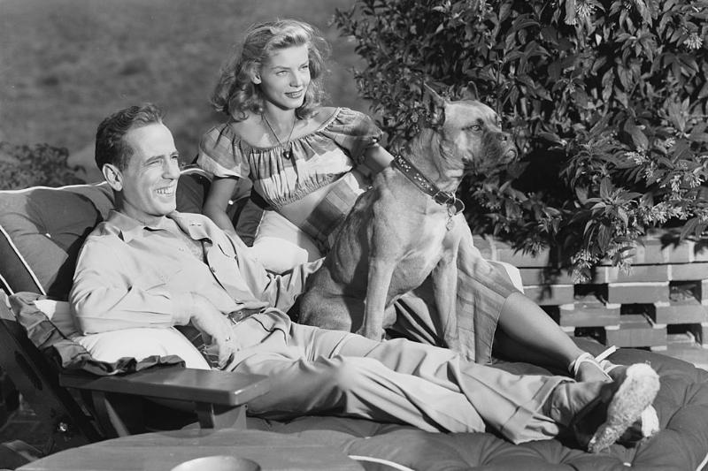 the couple relaxing with their dog