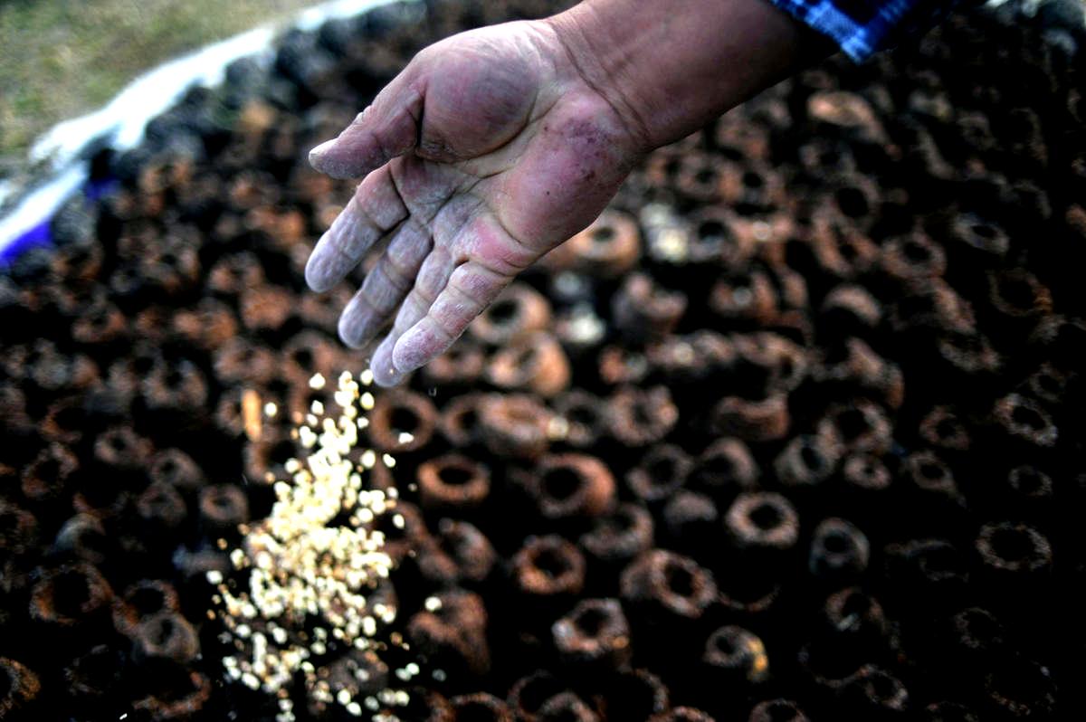 A man throws white incense into the fire during the Mayan New Year's celebration at the ceremonial center of Iximche in Tecpan