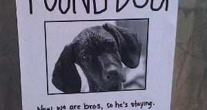 Unusually Funny Lost And Found Signs