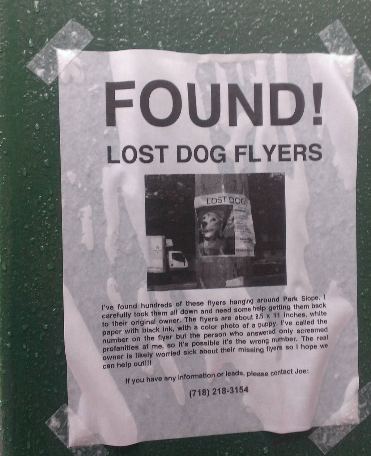 Found posters lost dog flyers have been found