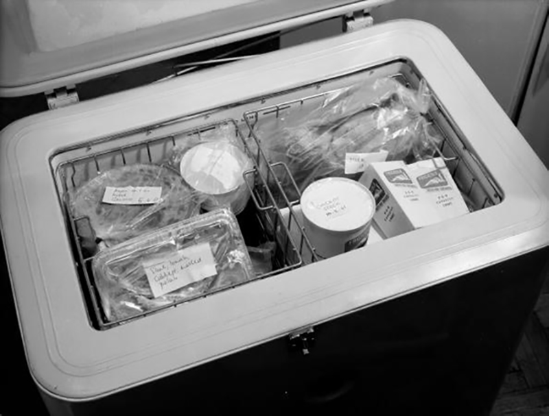 GettyImages-3140480-36828-35005