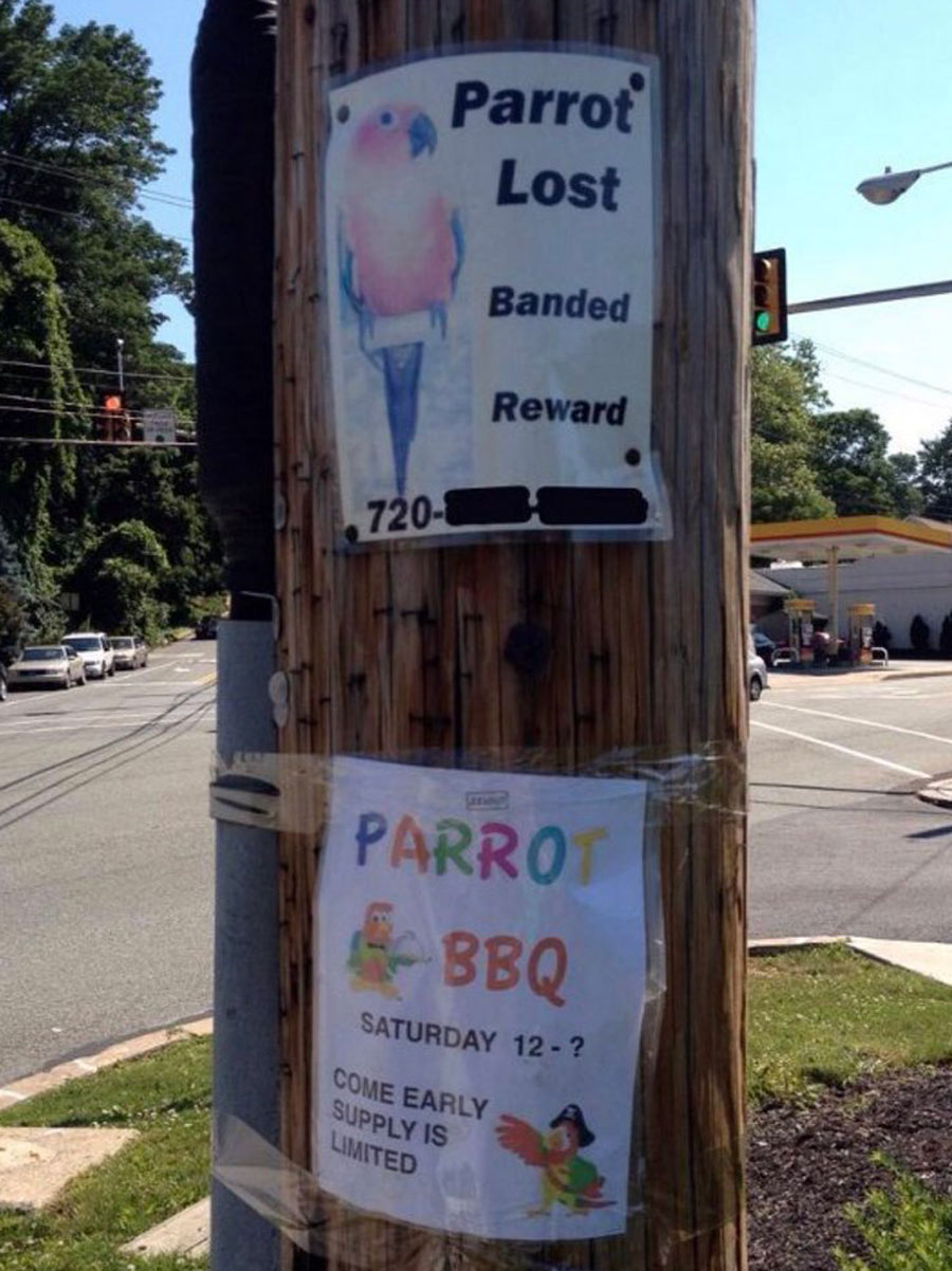 Parrot-lost lost parrot bbq poster