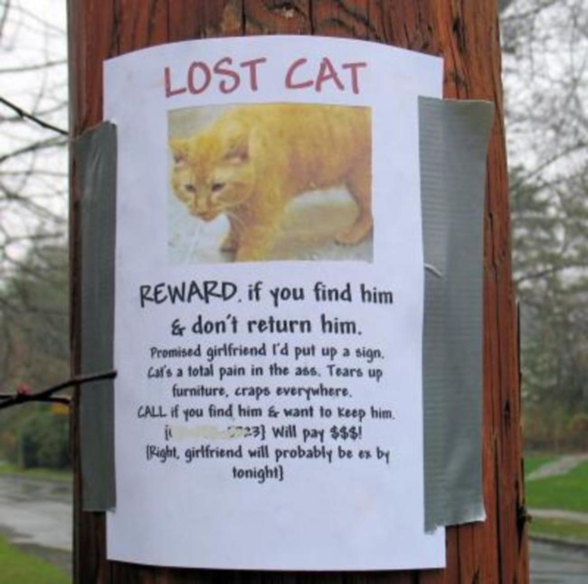 Please keep this cat boyfriend was forced to make lost cat sign